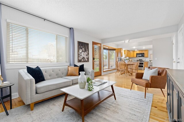 living area featuring light wood finished floors and a textured ceiling