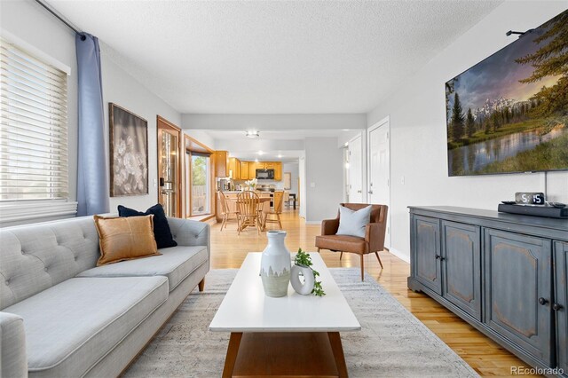 living room with light wood-type flooring and a textured ceiling