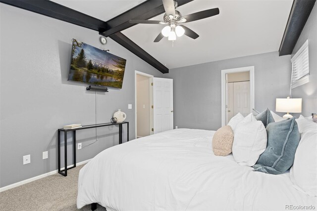 bedroom with baseboards, lofted ceiling with beams, ceiling fan, and carpet