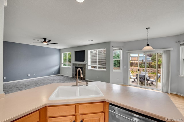 275 Gold Maple St, Brighton, CO 80601 - photo 8