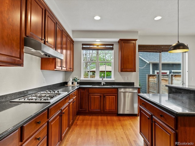 2880 Emporia Ct, Denver, CO 80238 - kitchen featuring stainless steel appliances, under cabinet range hood, dark countertops, a sink, and light wood-style floors