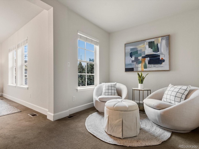 2880 Emporia Ct, Denver, CO 80238 - sitting room with carpet flooring and baseboards