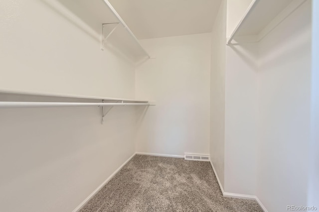 spacious closet featuring carpet and visible vents