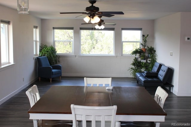 dining area featuring a healthy amount of sunlight and dark hardwood / wood-style flooring