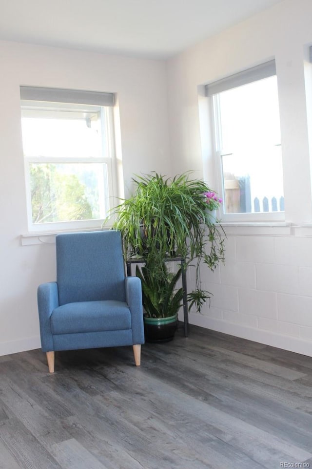 sitting room featuring hardwood / wood-style flooring