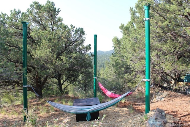 view of jungle gym