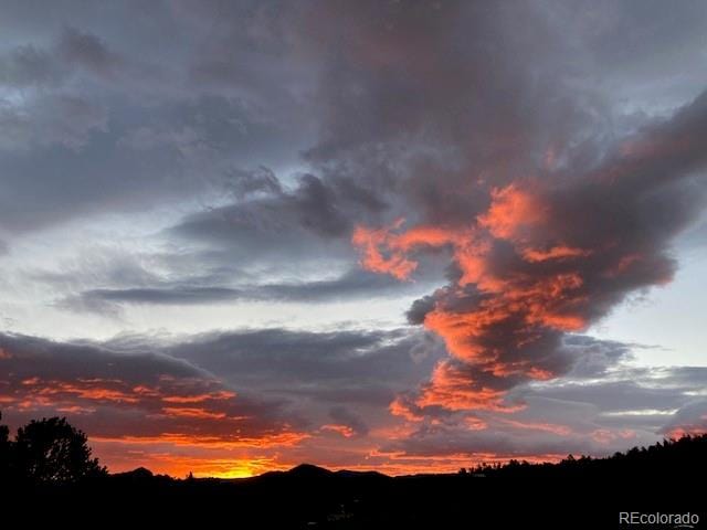 view of nature at dusk