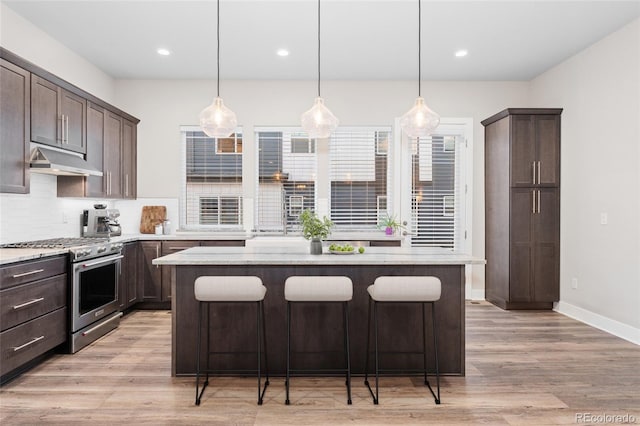 kitchen featuring light wood-style flooring, under cabinet range hood, dark brown cabinets, and high end stainless steel range