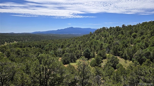 15 Picketwire Rnch, Filing Trinidad, CO 81082 - photo 1