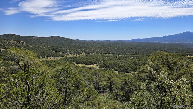 15 Picketwire Rnch, Filing Trinidad, CO 81082 - photo 2