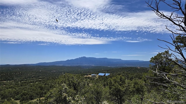 15 Picketwire Rnch, Filing Trinidad, CO 81082 - photo 3