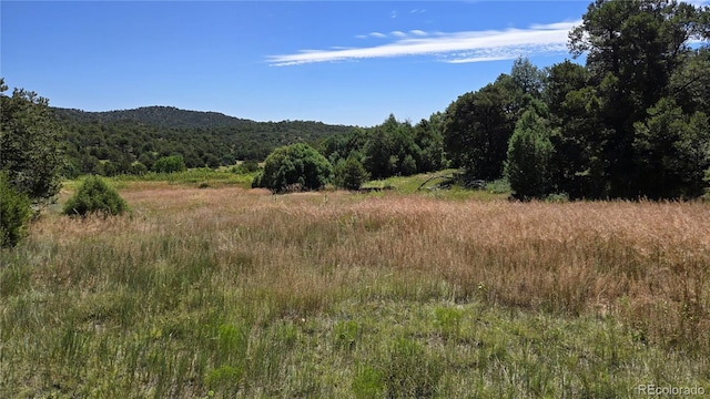15 Picketwire Rnch, Filing Trinidad, CO 81082 - photo 4