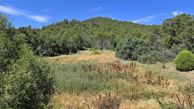 15 Picketwire Rnch, Filing Trinidad, CO 81082 - photo 5