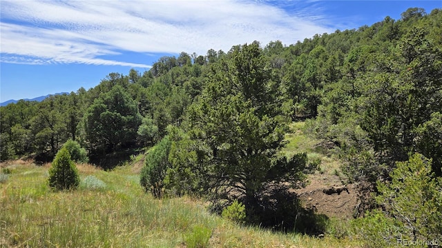 15 Picketwire Rnch, Filing Trinidad, CO 81082 - photo 6