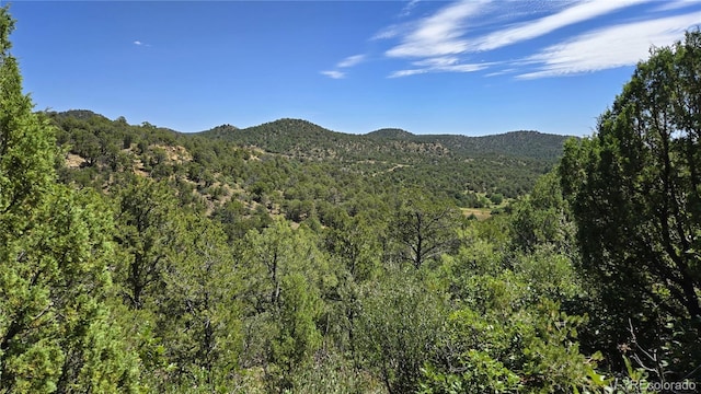 15 Picketwire Rnch, Filing Trinidad, CO 81082 - photo 7