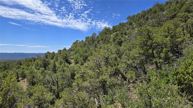 15 Picketwire Rnch, Filing Trinidad, CO 81082 - photo 8