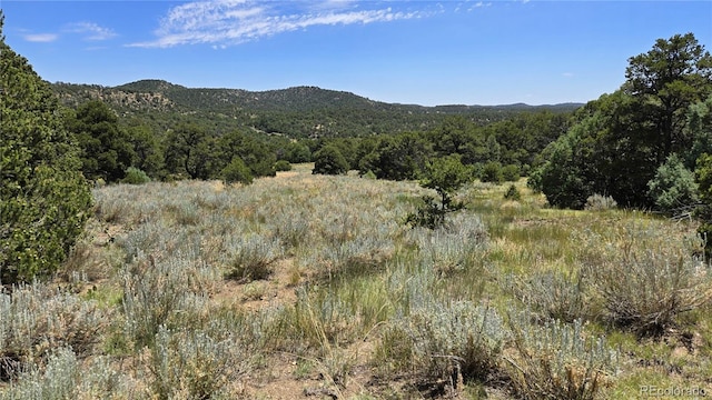 15 Picketwire Rnch, Filing Trinidad, CO 81082 - photo 10