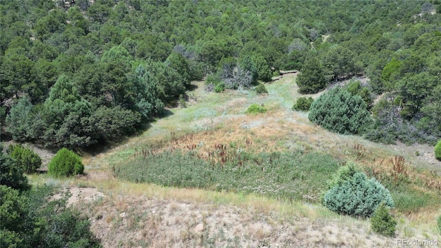 15 Picketwire Rnch, Filing Trinidad, CO 81082 - photo 13