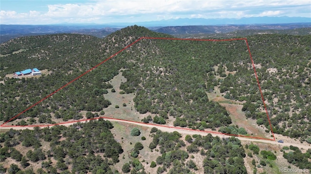 15 Picketwire Rnch, Filing Trinidad, CO 81082 - photo 14