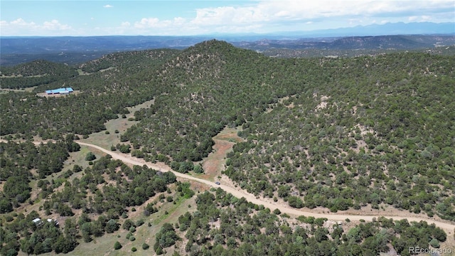 15 Picketwire Rnch, Filing Trinidad, CO 81082 - photo 17