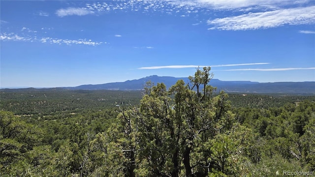 15 Picketwire Rnch, Filing Trinidad, CO 81082 - photo 19