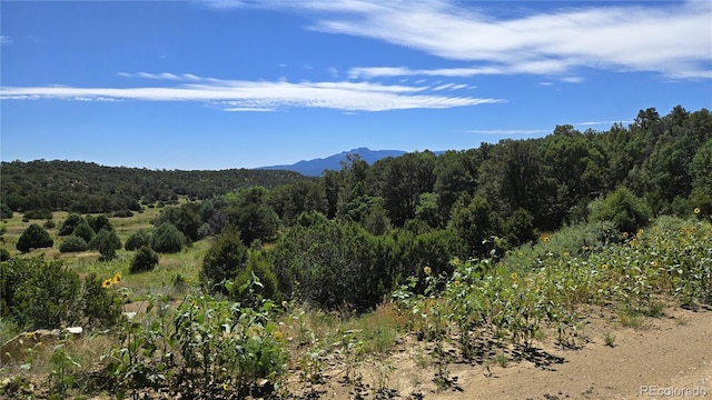 15 Picketwire Rnch, Filing Trinidad, CO 81082 - photo 20