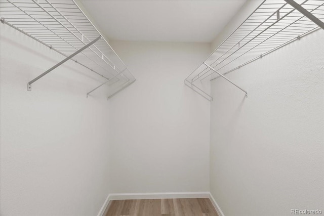 spacious closet featuring light wood-style flooring