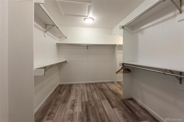 spacious closet with wood finished floors