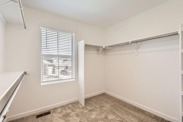 spacious closet featuring visible vents and light colored carpet