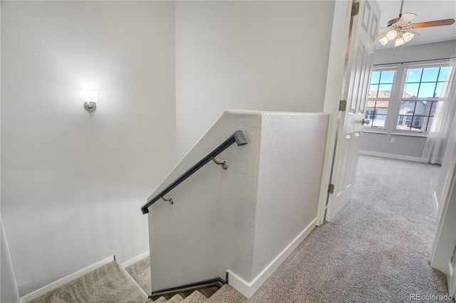 6840 Goldcrest Ct, Colorado Springs, CO 80919 - stairway featuring baseboards, carpet flooring, and a ceiling fan