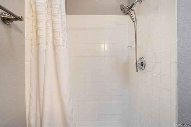 6840 Goldcrest Ct, Colorado Springs, CO 80919 - bathroom view of a tile shower