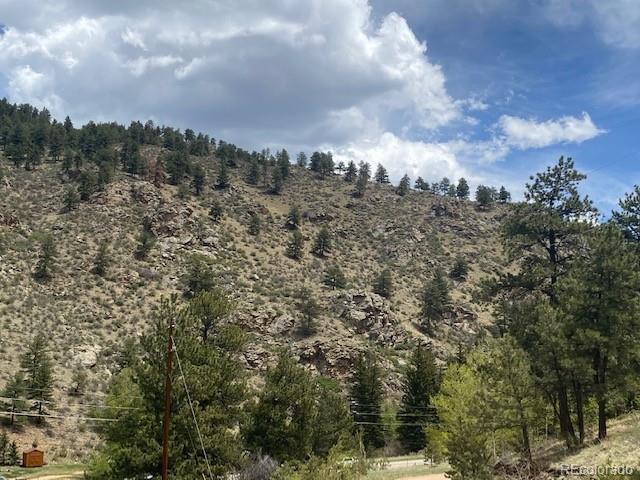 88 N Fork Rd, Grant, CO 80448