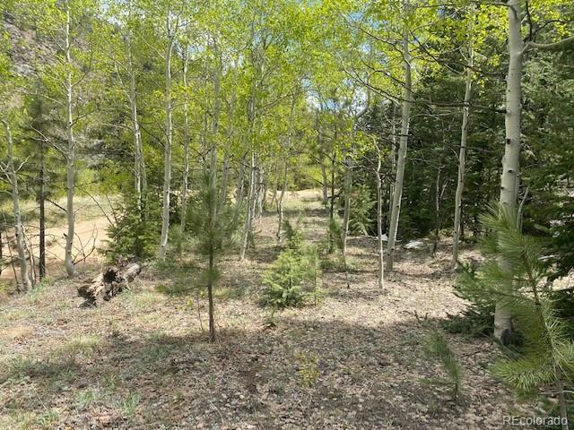 88 N Fork Rd, Grant, CO 80448