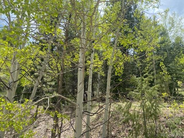 88 N Fork Rd, Grant, CO 80448
