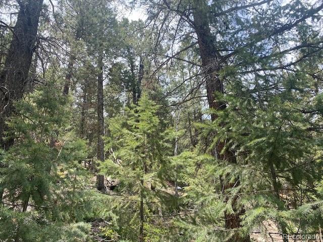 88 N Fork Rd, Grant, CO 80448