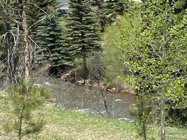 88 N Fork Rd, Grant, CO 80448