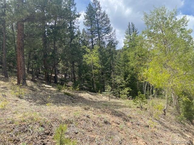 88 N Fork Rd, Grant, CO 80448