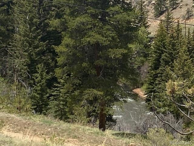 88 N Fork Rd, Grant, CO 80448