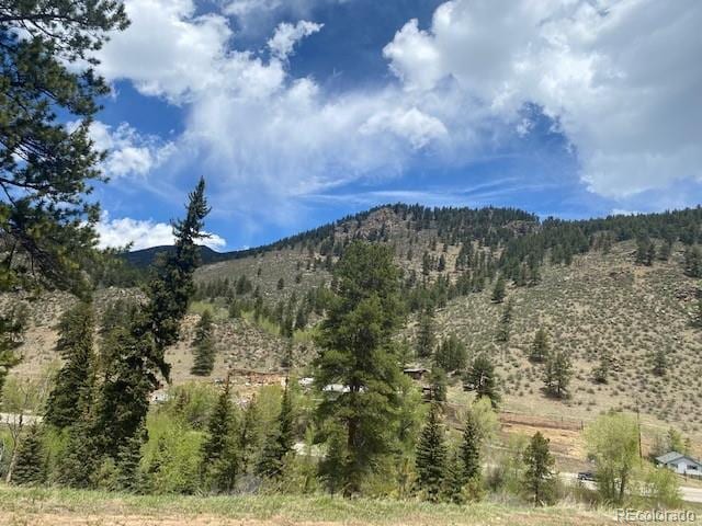 88 N Fork Rd, Grant, CO 80448