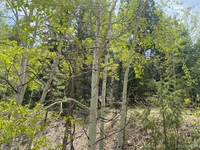88 N Fork Rd, Grant, CO 80448
