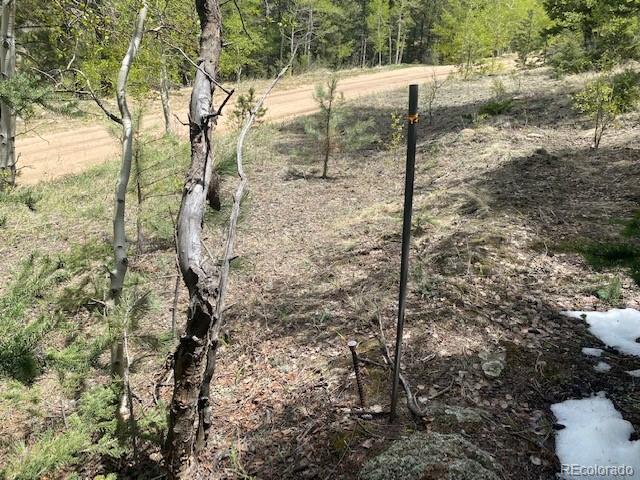 88 N Fork Rd, Grant, CO 80448