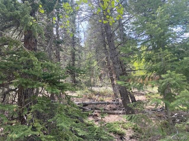 88 N Fork Rd, Grant, CO 80448