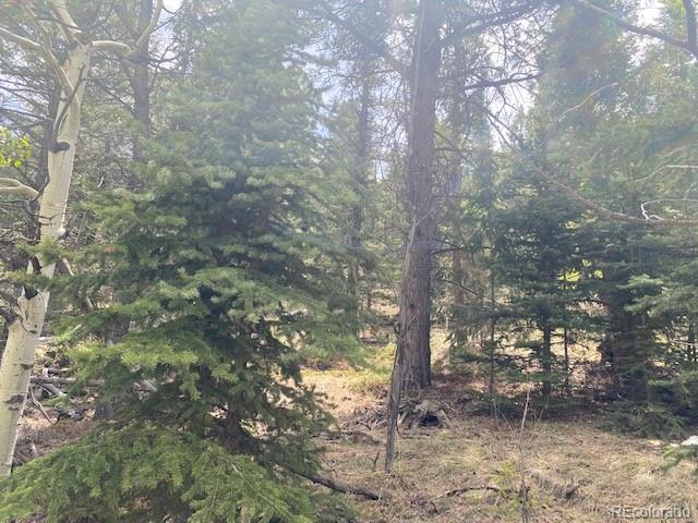 88 N Fork Rd, Grant, CO 80448