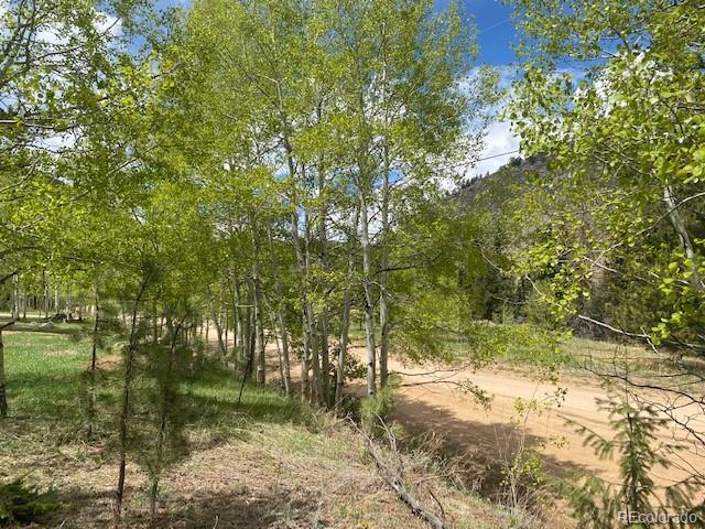 88 N Fork Rd, Grant, CO 80448