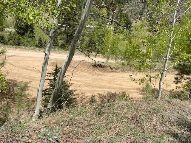 88 N Fork Rd, Grant, CO 80448