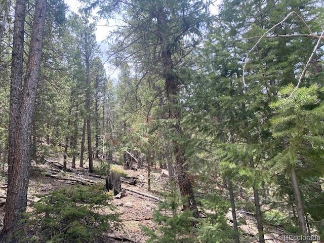 88 N Fork Rd, Grant, CO 80448