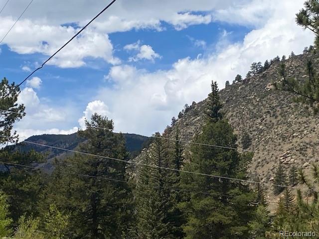 88 N Fork Rd, Grant, CO 80448