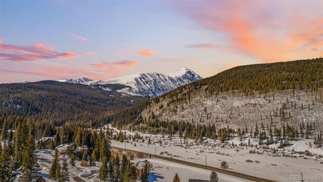 960 Whispering Pines Ln, Breckenridge, CO 80424 - photo 37