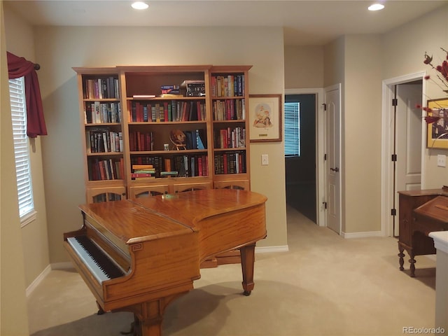 miscellaneous room with light carpet