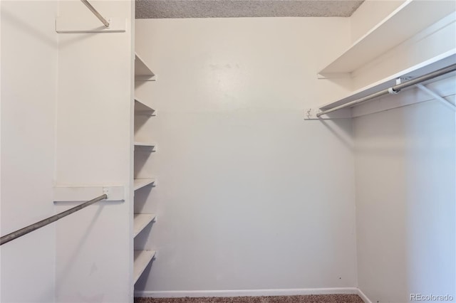 walk in closet featuring carpet flooring